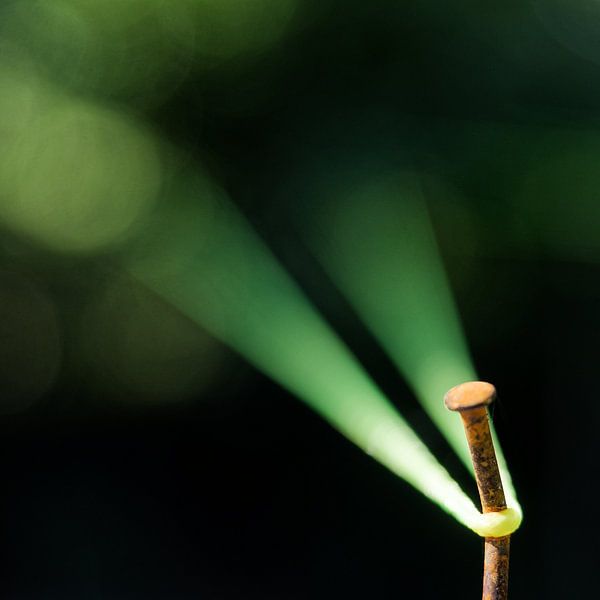 Holding von Ruud Otter