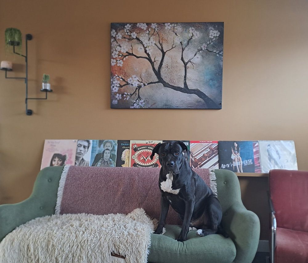 fleurs de cerisier ( cheriseblossom ) par Els Fonteine