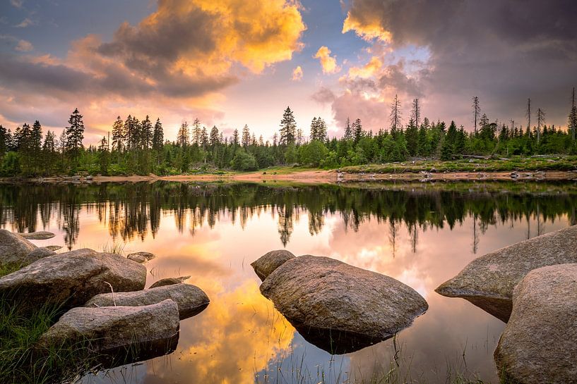 Jeu de couleurs dans la nature par Steffen Henze