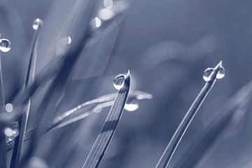 Wonderful world of drops by Heike Hultsch