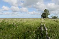 binnendijks - buitendijks foto 6