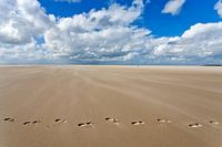 Footprints in the sand of the beach near Horspolder