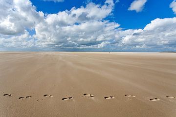 Voetsporen in het zand van het strand nabij de Horspolder van Hans Kwaspen