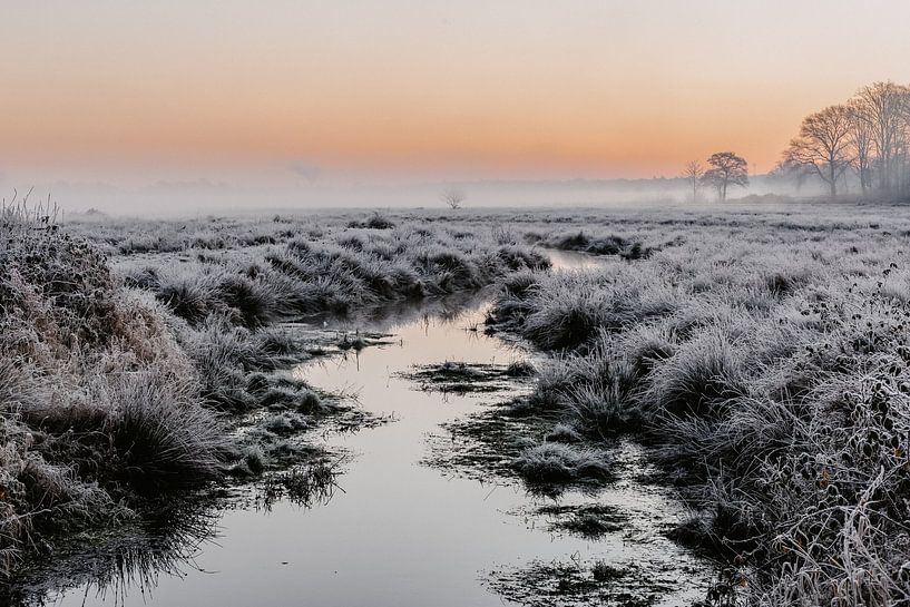 Mysterious Winter by Marloes Mol