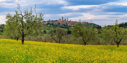 San Gimignano, Toscane, Italië, Europa
