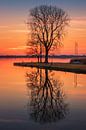 Sunset at the Zuidlaardermeer lake by Marga Vroom thumbnail