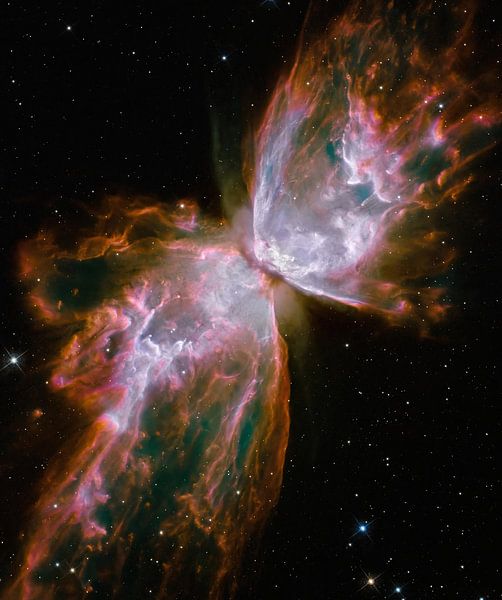 Hubble Spies un Papillon par Digital Universe