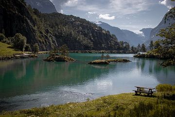 norwegian landscape by Sebastian Stef