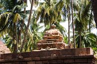 Palm trees in Badami, India by Camille Van den Heuvel thumbnail