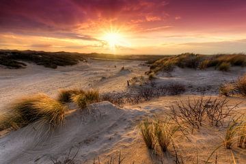 Sonnenuntergang in den Dünen bei Kijkduin Den Haag von Rob Kints