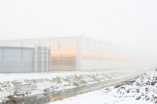 Tomatenbauernhof in winterlicher Stimmung