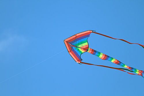 Vlieger in een strakke blauwe lucht