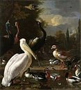 Een pelikaan en ander gevogelte bij een waterbassin, 'Het drijvend veertje' van Schilders Gilde thumbnail
