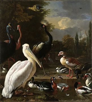 A pelican and other fowl near a water basin, 'The floating feather'