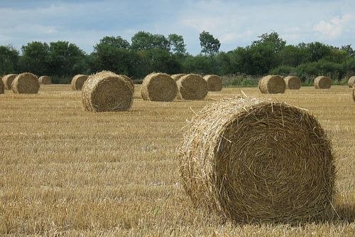 Hooibalen in Normandië