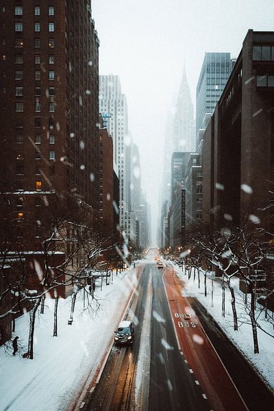 New York City by Hello Pompoyo