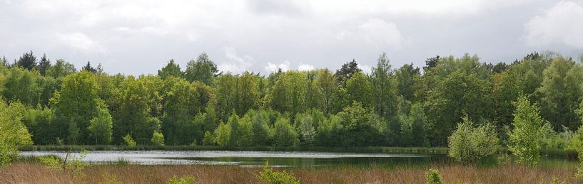 Ven auf dem Anwesen der Vossenberg. von Wim vd Neut