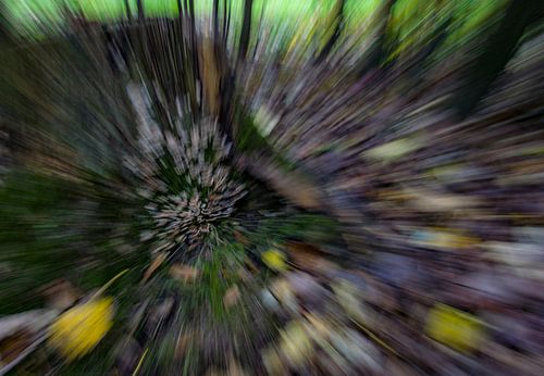 Paddenstoelen maar dan anders