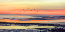 Sonnenuntergang auf dem Watt von Arthur Batenburg