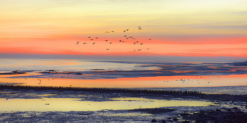 Sonnenuntergang auf dem Watt