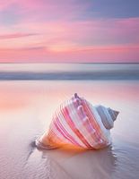 Schelpenmagie in een roze zonsondergang