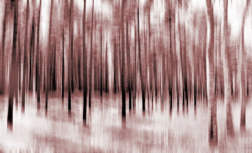 Waldblick von Matthias Rehme