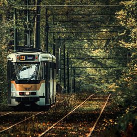 Straßenbahn 44 im Herbst von Jim De Sitter