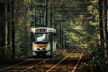 Straßenbahn 44 im Herbst