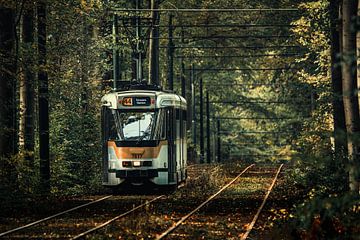 Tram 44 in de herfst