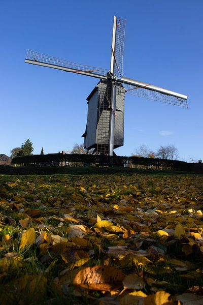 Kruiskoutermolen, Erpe-Mere, Belgium by Imladris Images