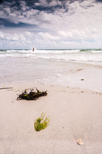 Zeewier op het strand van Richard Janssen