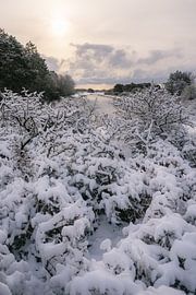 Snow landscape in the dunes of South Holland