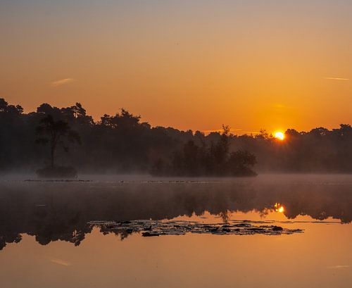Zonsopkomst in het mooie Oisterwijk