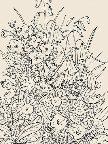 Wilde tuinbloemen