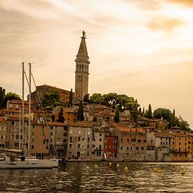 Côte de Rovinj sur Tierfotografie.Harz