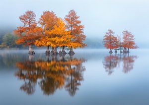 Reflektierte Herbstpracht