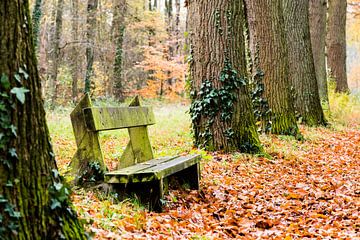 in het bos by Roel Rutgers