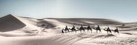 Sahara riding van BL Photography thumbnail