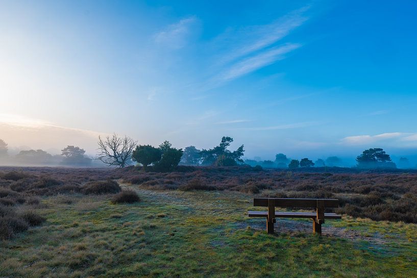 bench by snippefotografie
