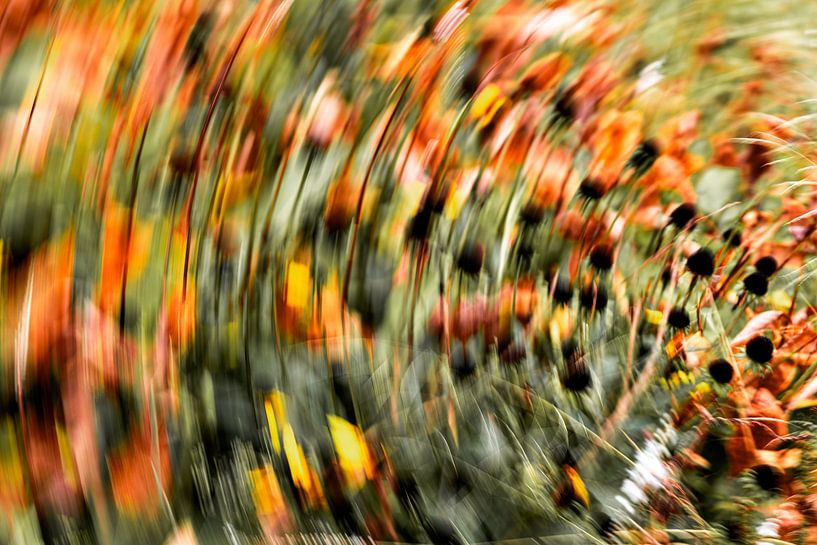 Malerei das Licht der orangefarbenen Blumen Nummer 4 von Helene van Rijn