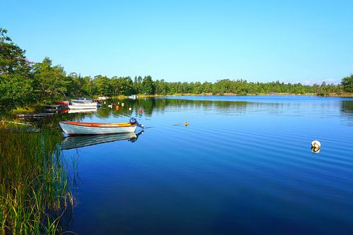 Boten op een meer in Zweden