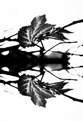 LEAVES MONOCHROM v2-b