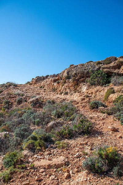 Felsen auf Comino I Malta von Manon Verijdt