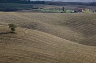 Val d'Orcia von Bart van Dinten Miniaturansicht