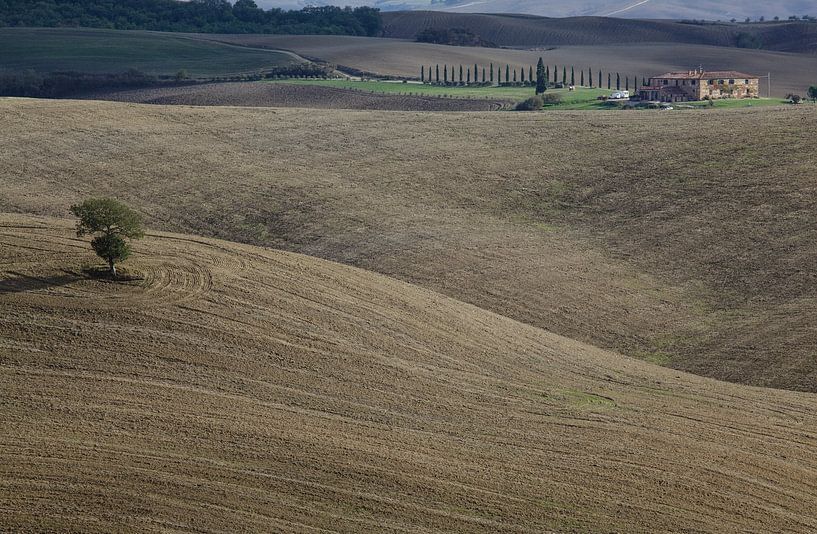 Val d'Orcia von Bart van Dinten