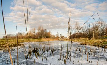 Winter in Kommerzijl