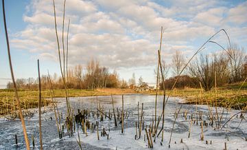 Winter in Kommerzijl van Greet ten Have-Bloem