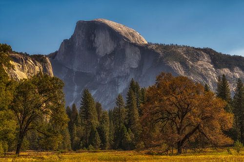 Yosemite park