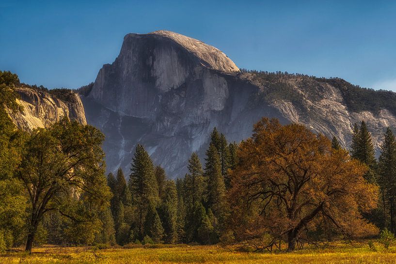 Yosemite park van Els van Dongen