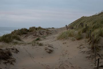 Les dunes sur Sebastian Stef